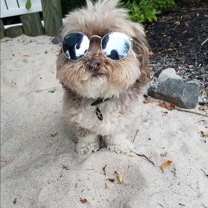 Meet your Posher, Paula